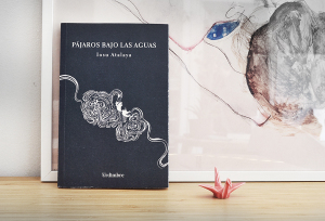 Pájaros bajo las aguas